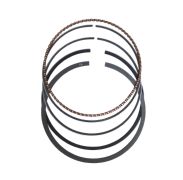 13008-0602 - Piston Ring Set