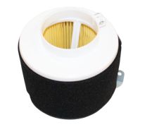 Kawasaki 1513-1 - Air Filter, QuadOne
