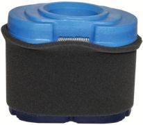 Briggs & Stratton 261-0063 - Air Filter Combo