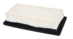 Briggs & Stratton 261-1220 - Air Filter