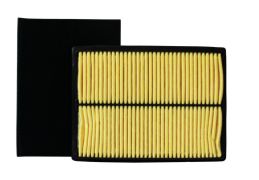 Honda 261-2164 - Air Filter Combo