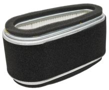 Lesco 261-3252 - Air Filter Combo