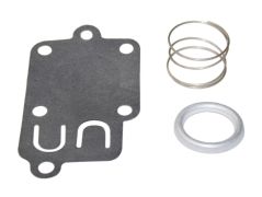 Briggs & Stratton 262-3123 - Diaphragm Kit