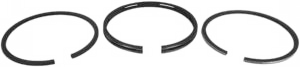 Briggs & Stratton 298982 - Ring Set Std.