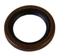 299819S - Oil Seal