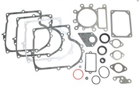 495993 - Gasket Set - Engine