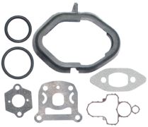 530071894 - Poulan Gasket Kit SAS