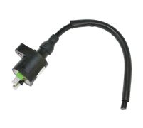 Arrowhead 604-1301 - Coil
