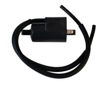 604-1815 - Ignition Coil