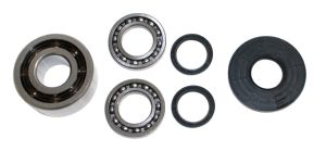 Automatic 608-1075 - Differential Bearing & Seal Kit