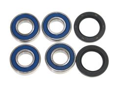 All Balls Racing 608-5079 - Rear Independent Suspension Kit