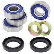 All Balls Racing 608-5080 - Rear Independent Suspension Kit