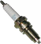 NGK 621-4730 - Spark Plug, DPR8Z