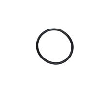 690589 - O-Ring Seal