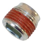 691680 - Briggs, Plug Oil Drain