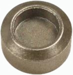 691843 - Briggs Valve Cap