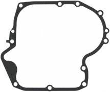 697110 - Crankcase Gasket