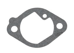 699800 - Gasket - Intake