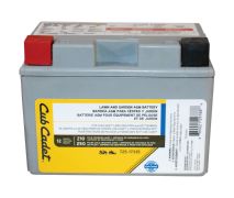 725P17335 - Battery (11AHR AGM 210CCA)