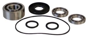 Automatic 7273-1 - Differential Bearing & Seal Kit, QuadOne