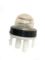 Primer Bulbs