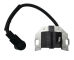 265-9448 - Ignition Coil