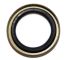 Briggs & Stratton 266-5407 - Oil Seal