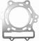 Gaskets, Cylinder Head