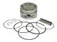 Piston Assemblies