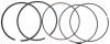 Piston Rings