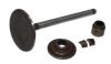 Camshafts, Push Rods & Valves