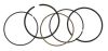 Pistons, Pins & Rings
