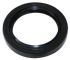 Oil Seals