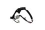 Harnesses